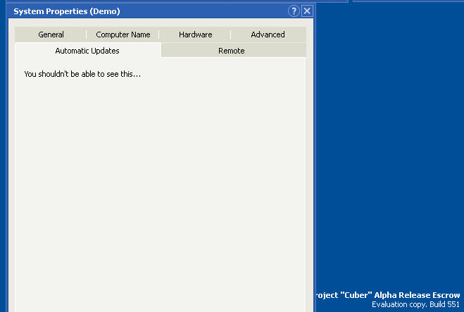 System Properties Demo Window