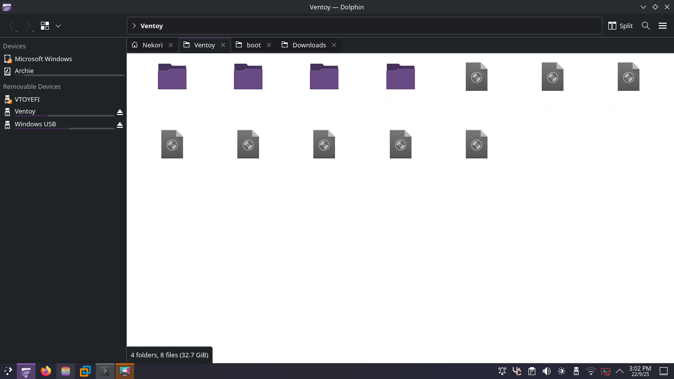 Broken Dolphin (KDE file manager) window as a result of accidental /home folder deletion.)