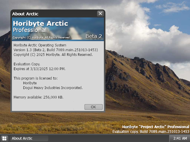 Horibyte Arctic Professional Beta 2 Build 7089