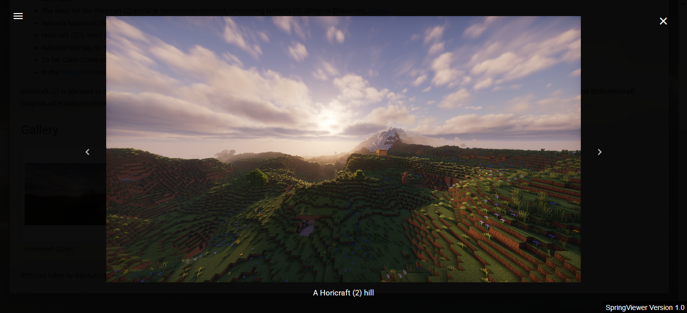 The media viewer, featuring the viewer watermark.